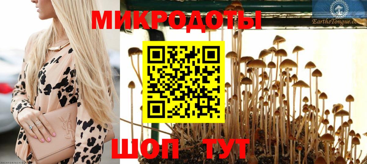 Псилоцибиновые грибы GOLDEN TEACHER Кинешма
